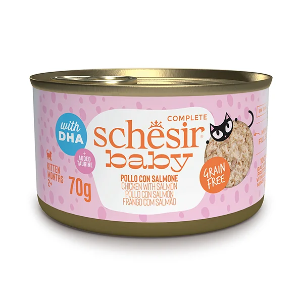Schesir для котят (курица, лосось), 70 г