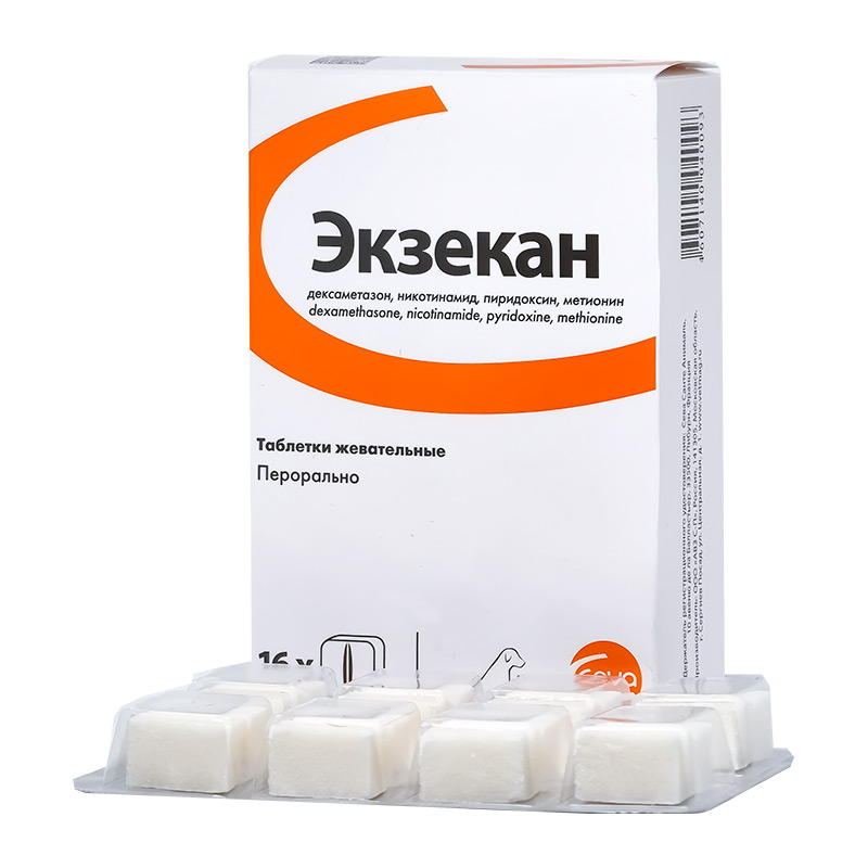 CEVA Экзекан, 1 кубик