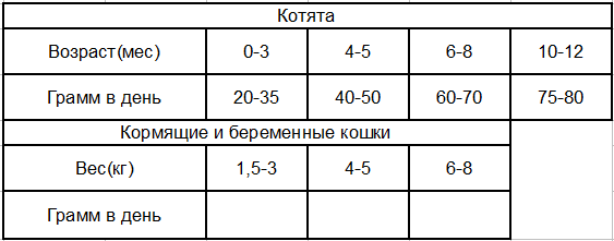 грфр котята.png